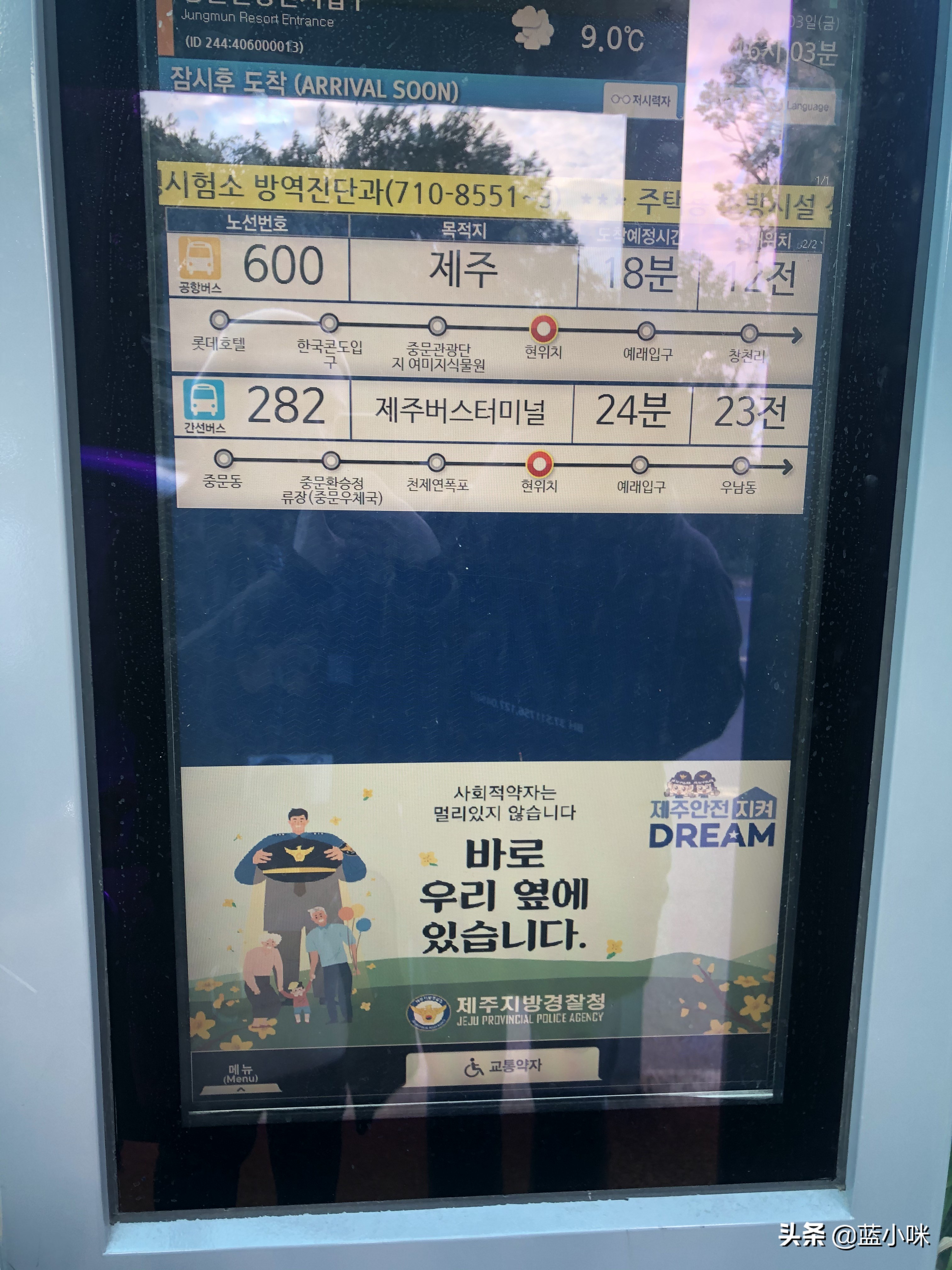 济州岛超全攻略,济州岛自由行超实用攻略