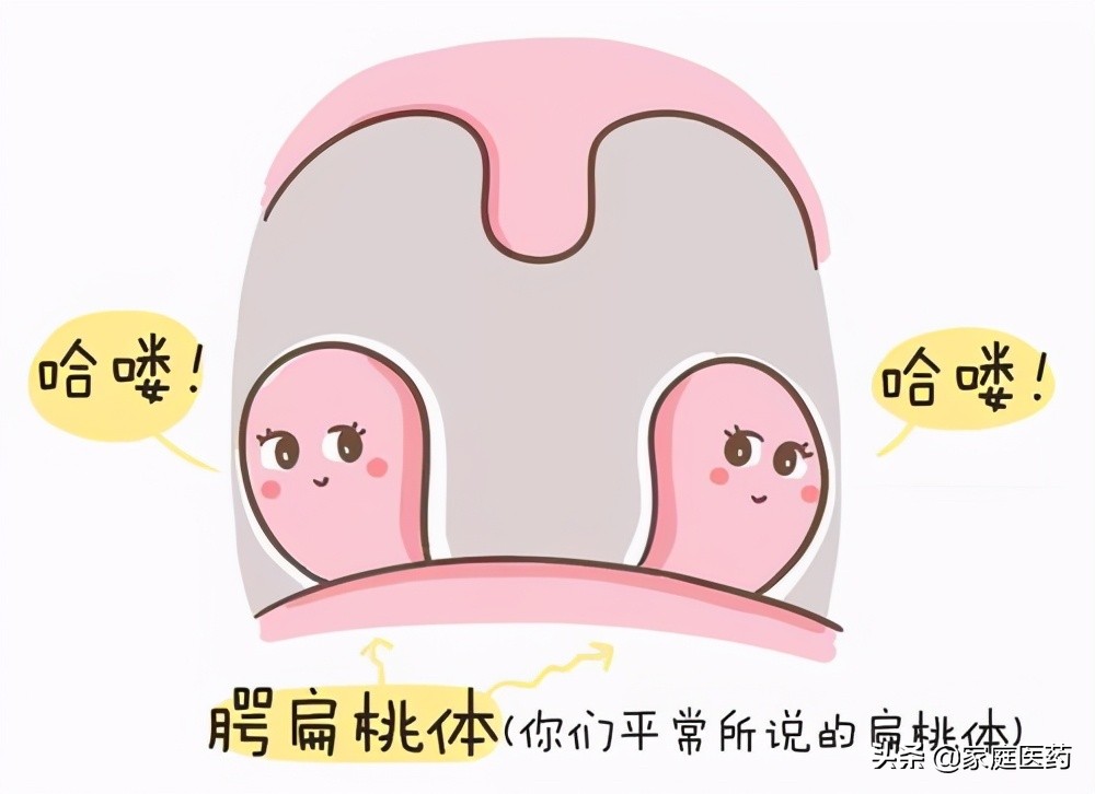 5岁单侧扁桃体肿大不消退怎么办,单侧扁桃体肿大会引起单侧鼻塞吗