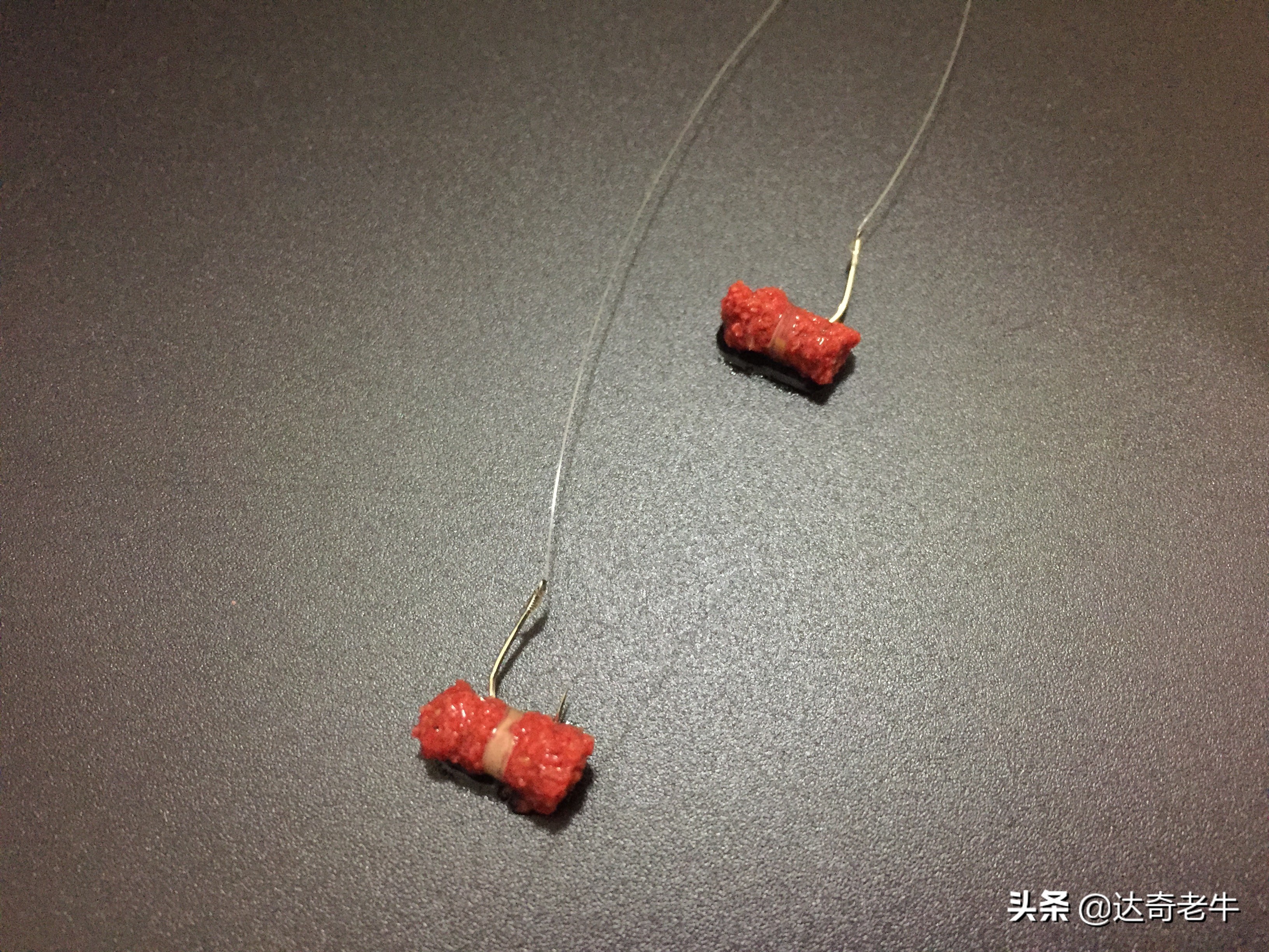 红虫颗粒钓鲤鱼用法,红虫颗粒钓鲫鱼效果怎么样