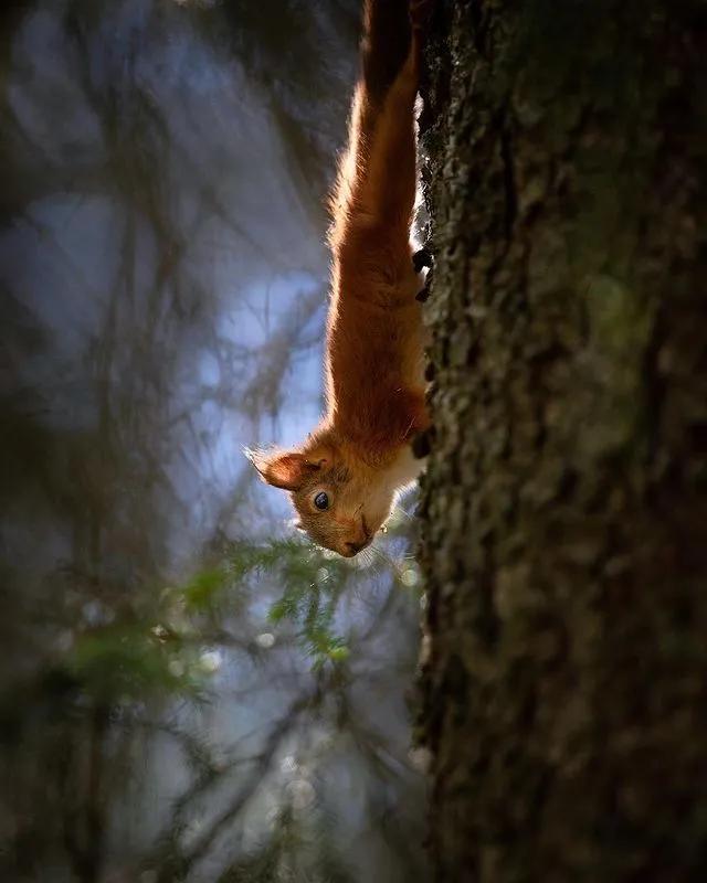 葬礼当天，她成为了四个孩子的“后妈”，网友：这是童话故事吧