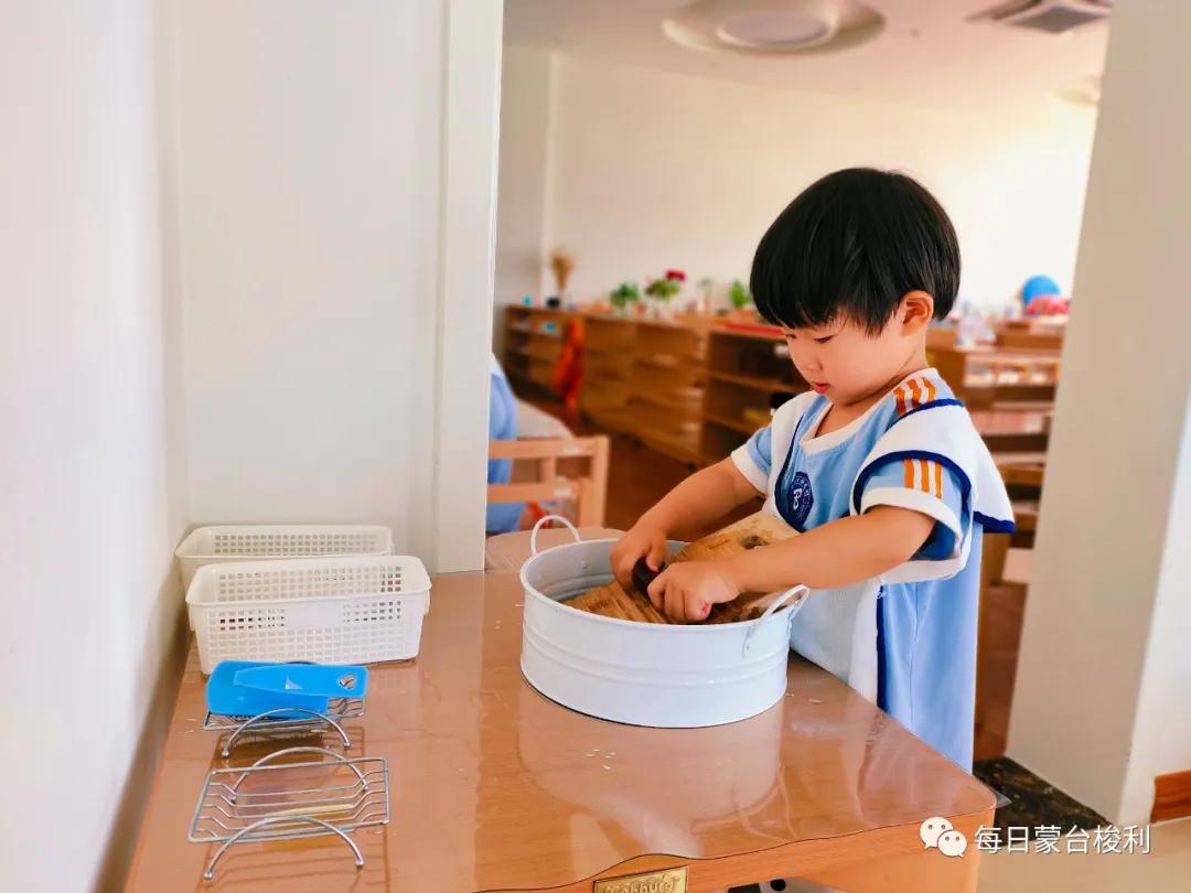 蒙台梭利0-3岁孩子主要的人类倾向,蒙台梭利2岁孩子特别听话