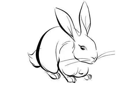 紫金鼠手串适合什么生肖,不同生肖适合戴什么木头手串