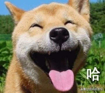 摆地摊进货渠道有哪些,摆地摊进货10个最便宜渠道