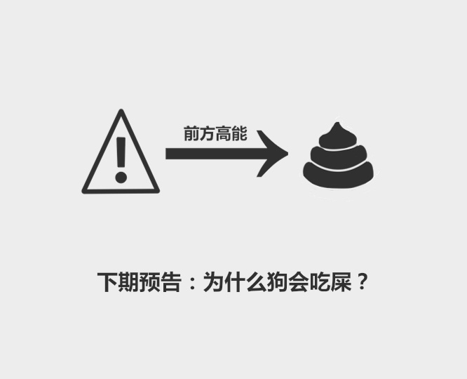 奶猫要多久可以用猫砂,小奶猫用哪种猫砂比较好