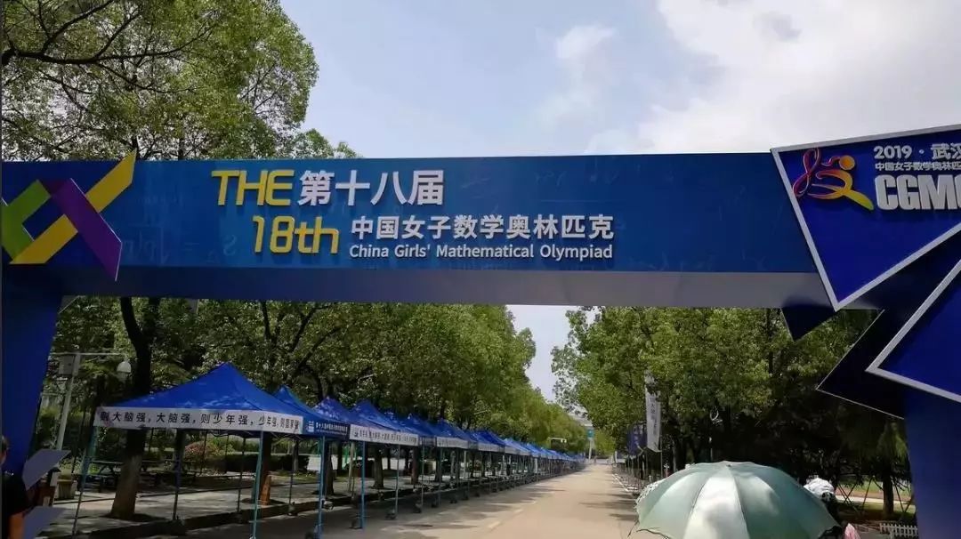 2004年中国女子奥林匹克数学竞赛,中国数学奥林匹克竞赛获奖女生