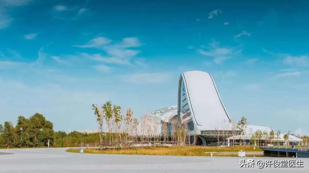 定格美好回忆的相机，如何选择？