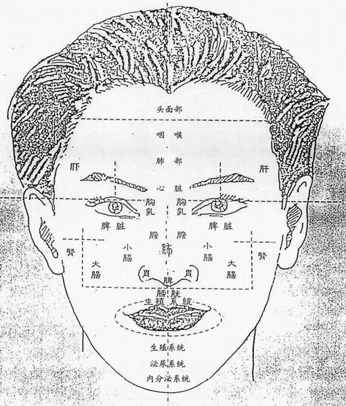 面诊与疾病高清对照图,中医面诊小儿五官看健康