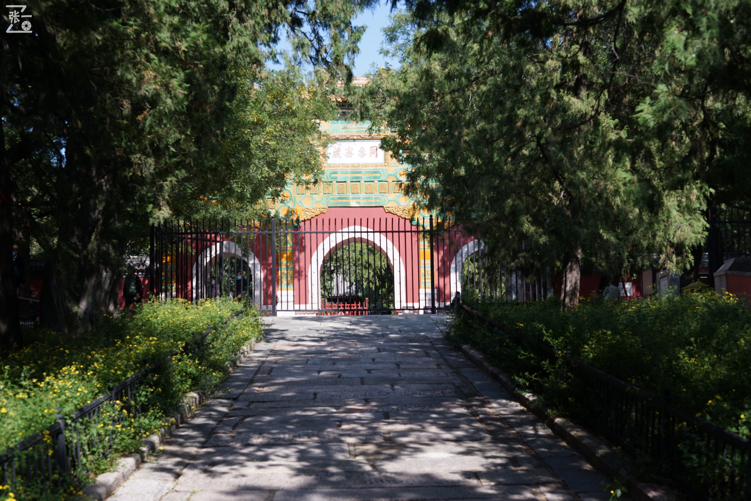 宾得老镜头k系列,老北京镜头