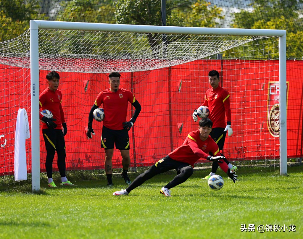 透析的精辟分析,复盘国足澳大利亚