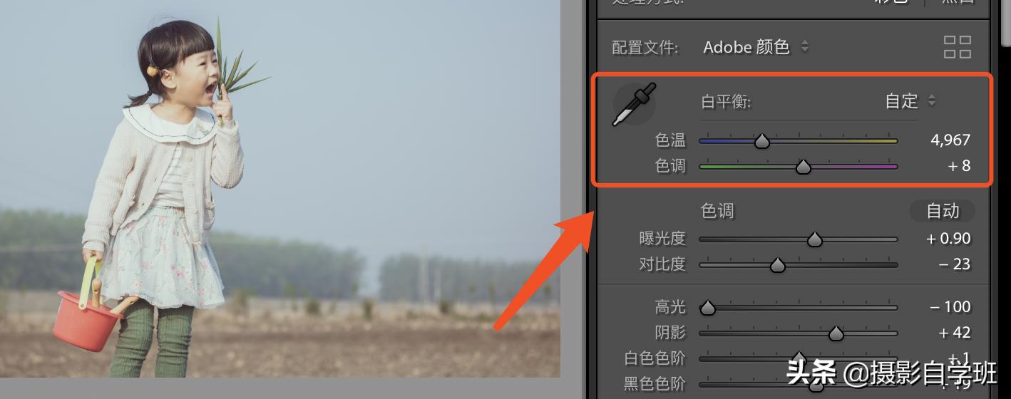 黑土地拍摄技巧视频,黑土地剪映教学