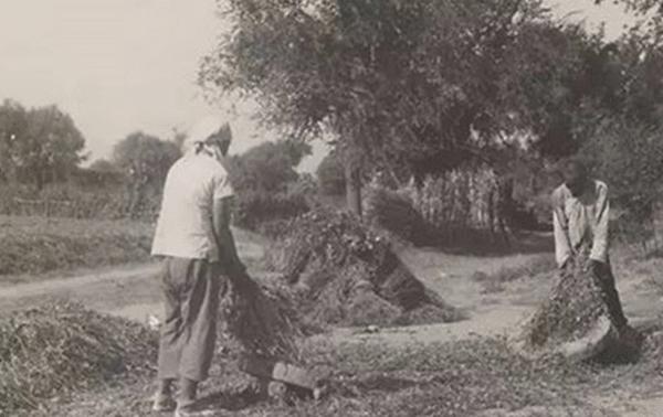 民国奇案雨夜藏尸,民国山村奇案