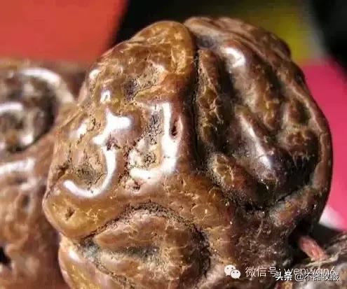 最不常见的菩提,10年以上的菩提