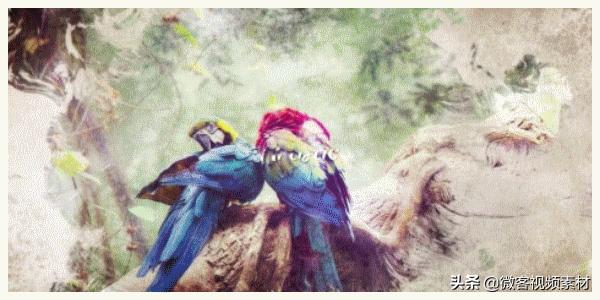 ae可视化转场预设,ae转场效果预设