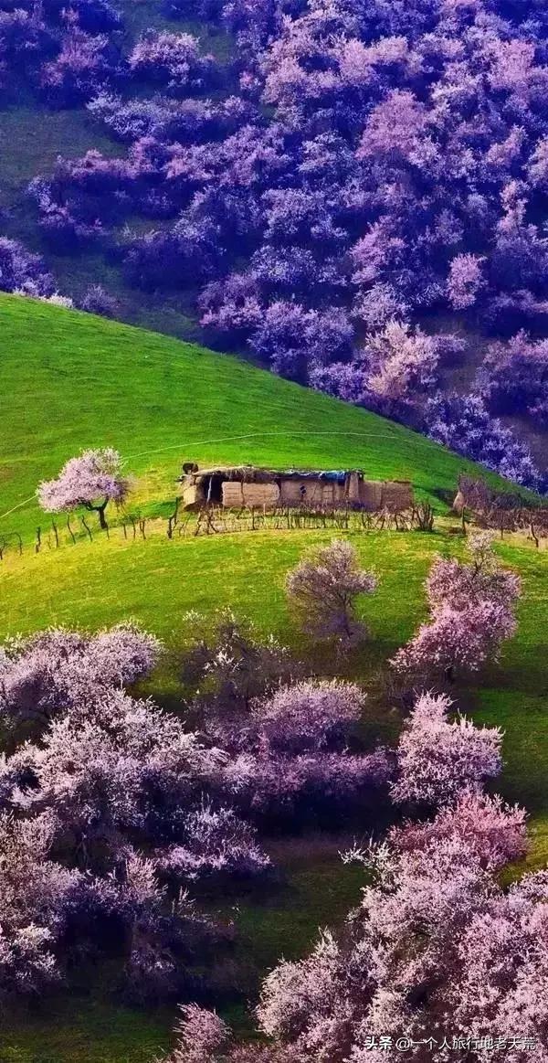 治愈系风景一辈子总要去一次新疆,去新疆的路上看不一样的风景