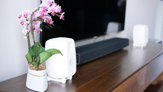 乔布斯真力音响,乔布斯在用的音响