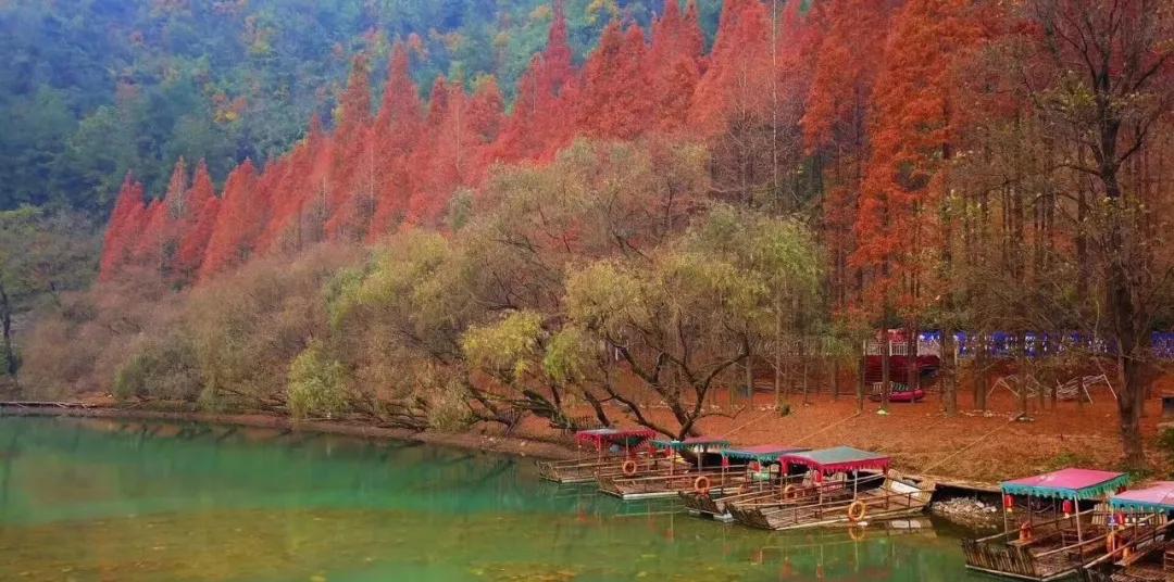 这里是勉县，一个让你流连忘返的地方