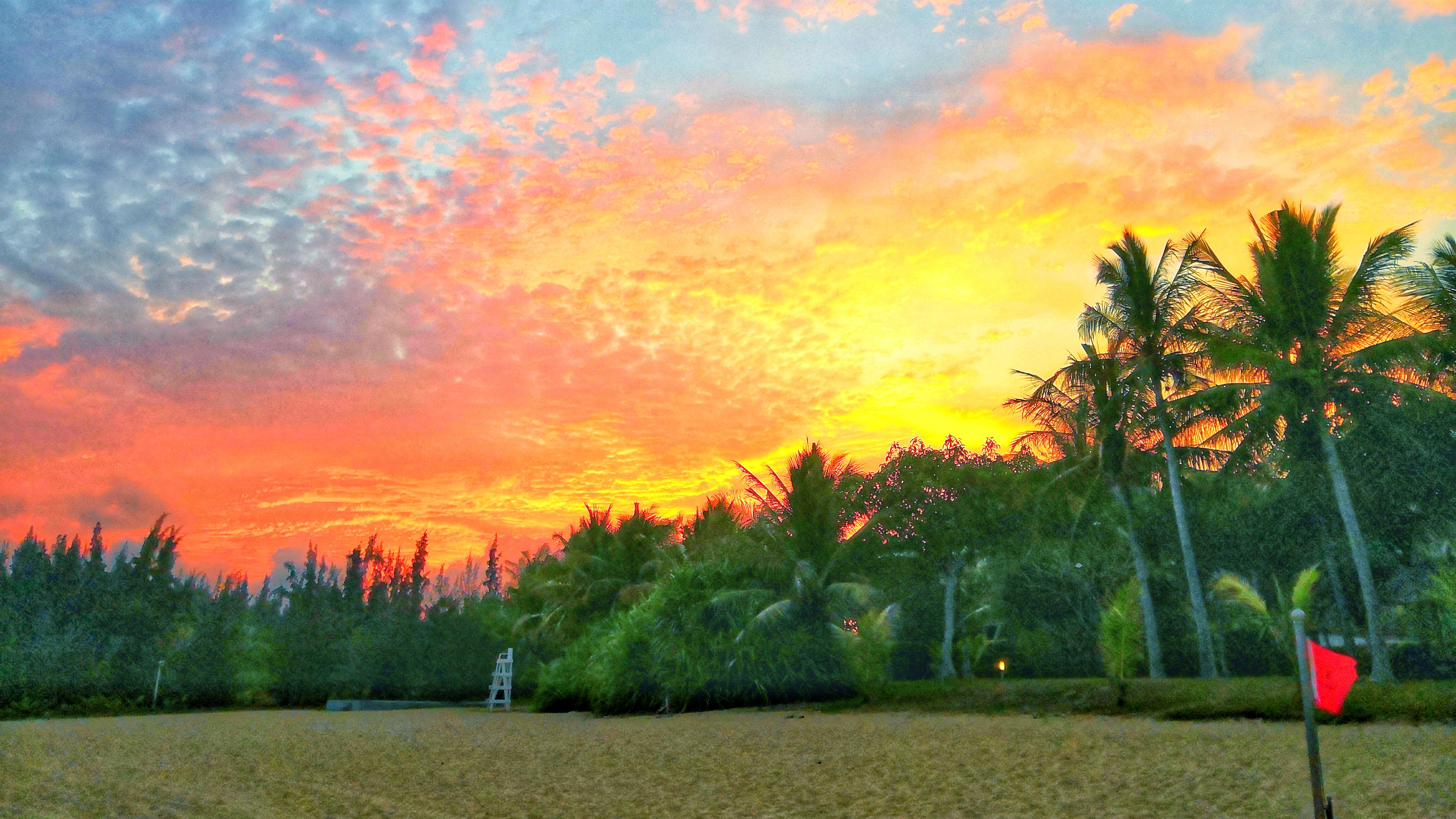 都是网红惹的祸,都是网红惹的祸完整版