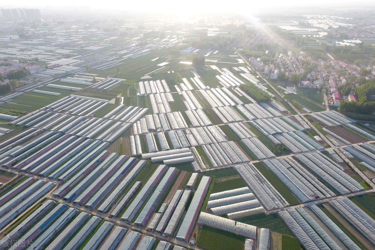 郑州为什么发展港区,为什么要大力发展郑州