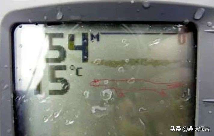 俄罗斯冻土层发现的生物,俄罗斯发现的生物