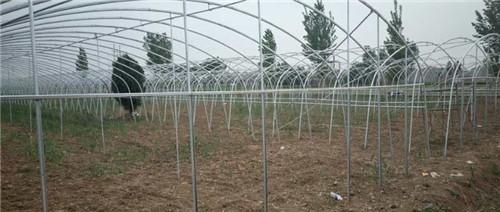 恩情难相忘将爱永流传——焦作市一位贫困户的真情“告白”