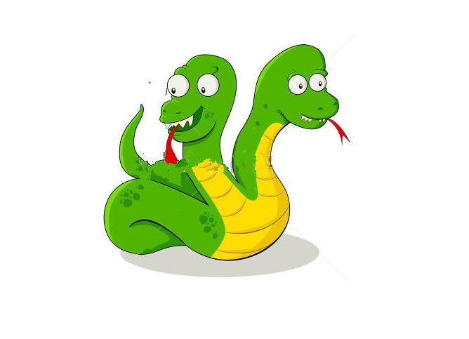 美国最大的蛇类,美国最大的蛇有多大