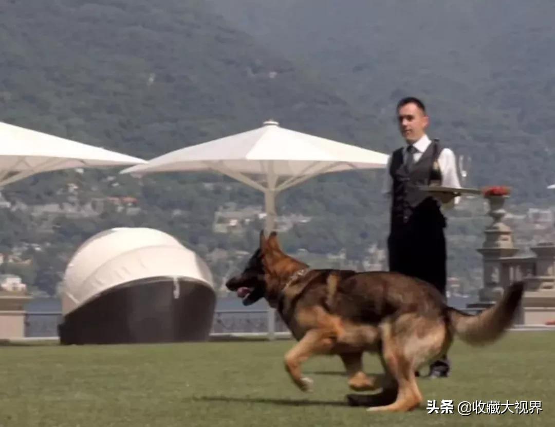 冈瑟家族近况,冈瑟四世最新资产