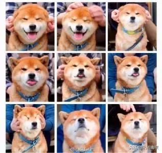 2018南京老公价目表出炉！低于1000元回家跪键盘！