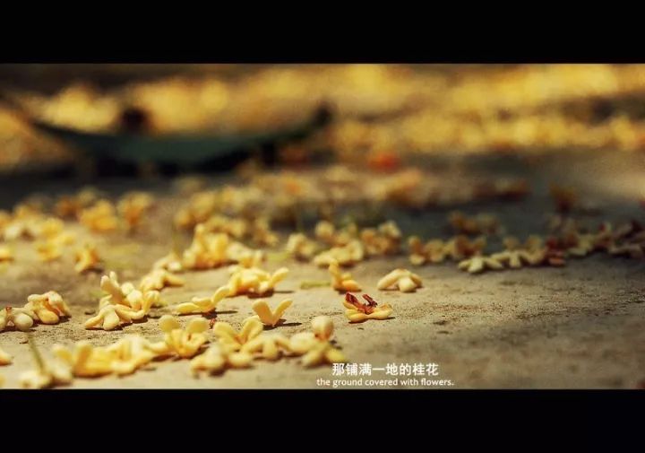 杭州的秋天足够迷人,杭州的秋天特别浪漫