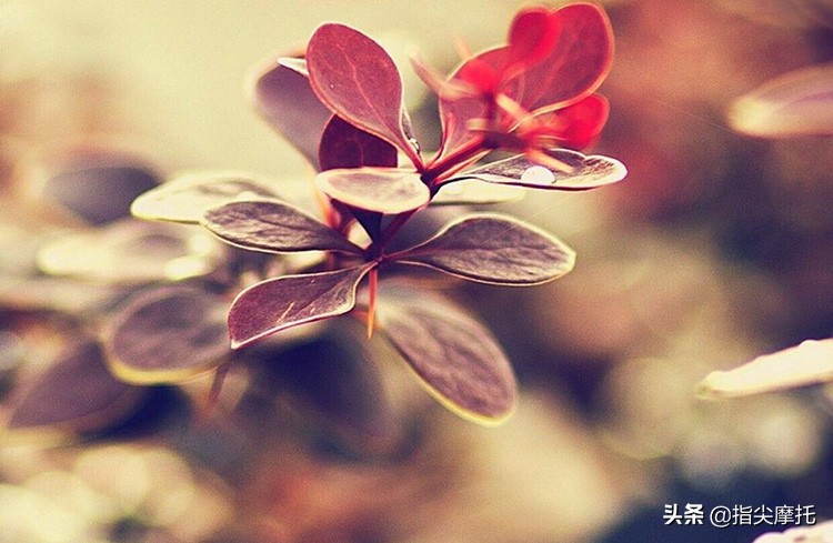 思索人生感悟,思索人生完整视频