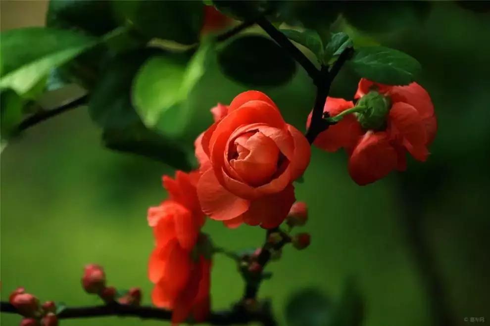 宋扬小说欣赏——生活用力过猛