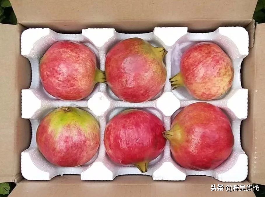 正宗的河阴软籽石榴分享给大家,河西软籽石榴