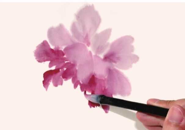 国画知识：牡丹不会画？教你3种牡丹画法，简单易学，快收藏起来