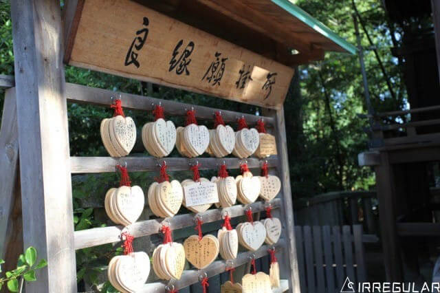 带你去看最真实的日本,带你去看看真实的日本