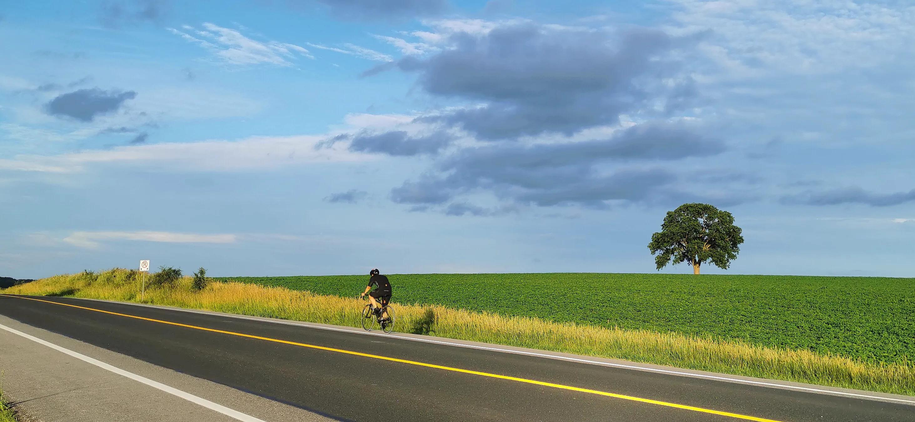 手机摄影手册圈友作品选第7期,手机摄影手册圈友作品选第6期