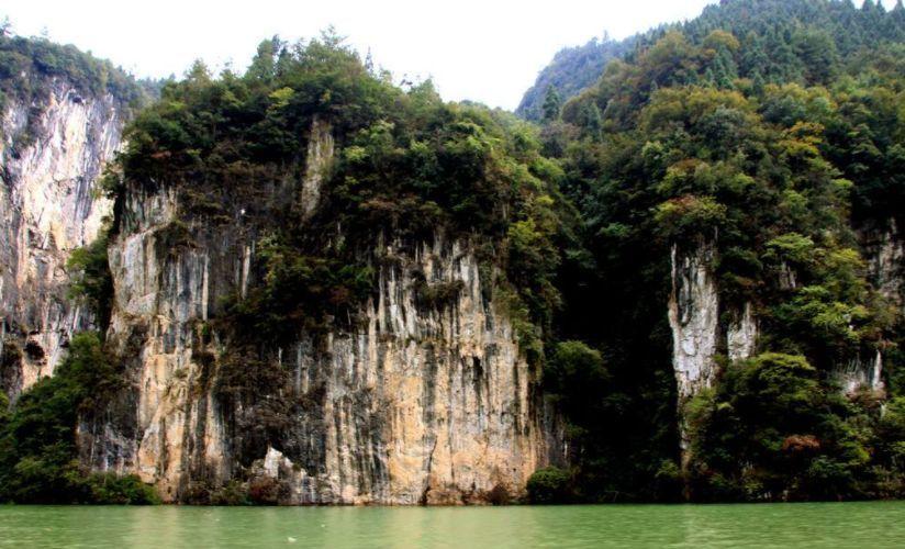 日久见人心上句,日久见人心原唱