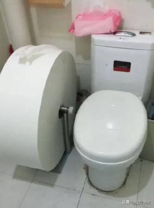 鸭类鸭类,鸭类品种大全