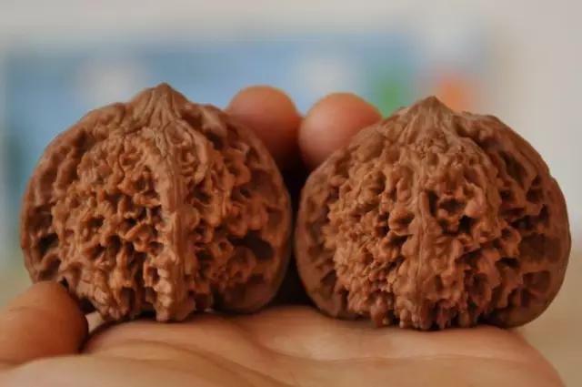 文玩核桃的100个常见问题,文玩核桃100个常见问题