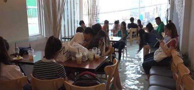 在咖啡馆的地板上养鱼,越南锦鲤咖啡厅