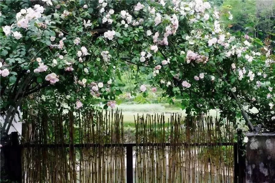 楠溪江民宿客栈排名前十,楠溪民宿十大排名