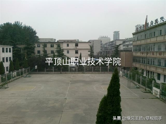 2022年平顶山学院在河南排名多少,平顶山汝州有哪些大学