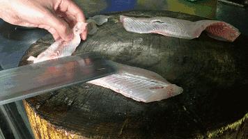 别看这些鱼长得很像，但口味天差地别！钓鱼人十有八九都分不清