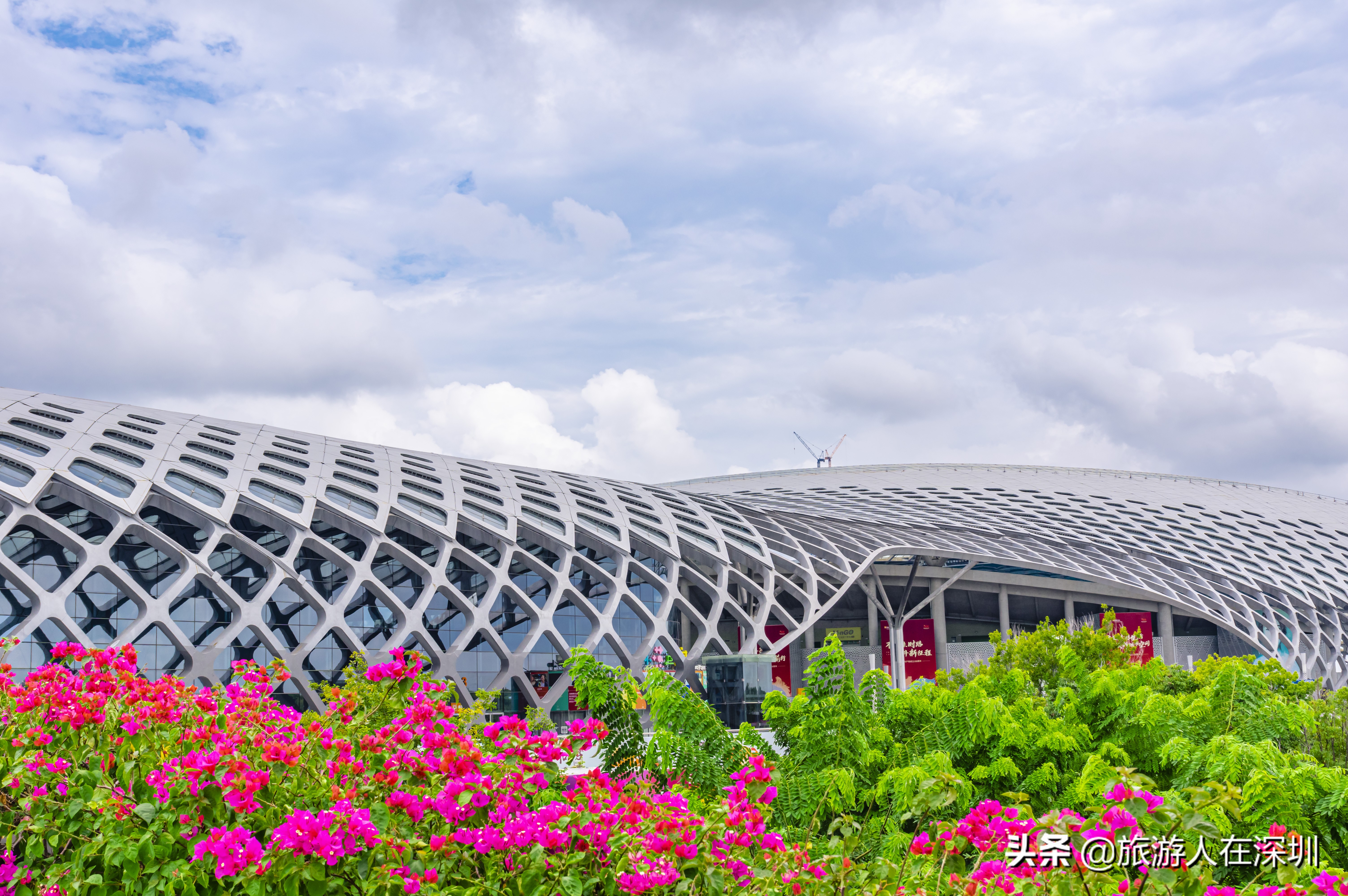 深圳湾体育中心平面图,深圳湾体育中心像什么