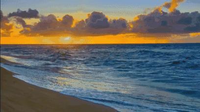 烟台牟平人分不清这些，请走开