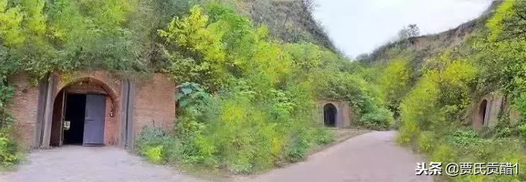 古法酿醋焕发生机,佳品玫瑰酒