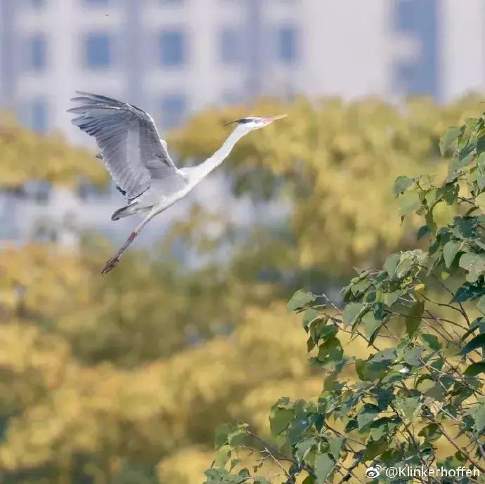 广州踏青好去处地铁附近,广州周边地铁一日游最佳路线