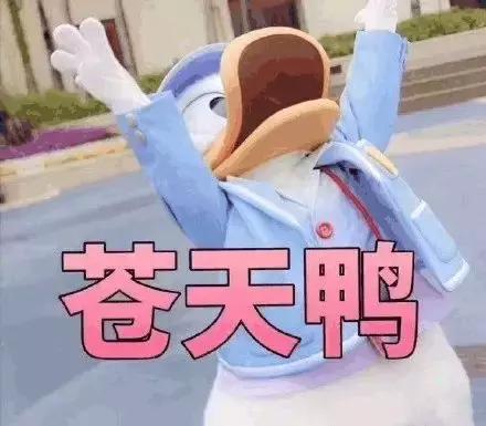 这样喂饭真不行，现在补救还来得及