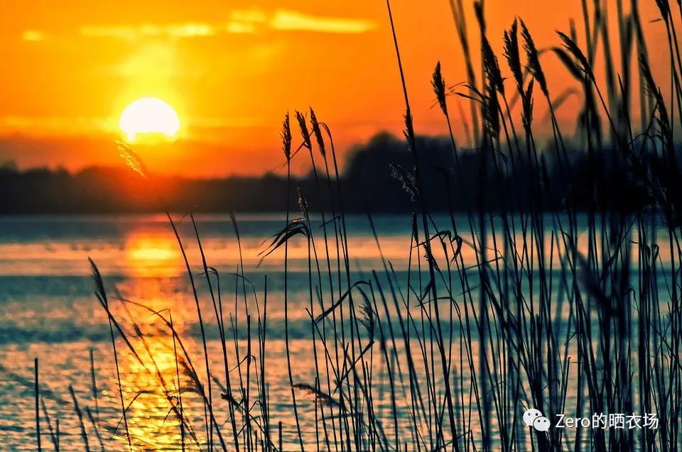 指数基金lof基础入门,指数基金etf和lof有什么区别