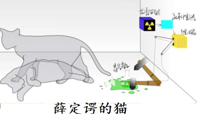 令人震撼的物理原理,物理实验恐怖