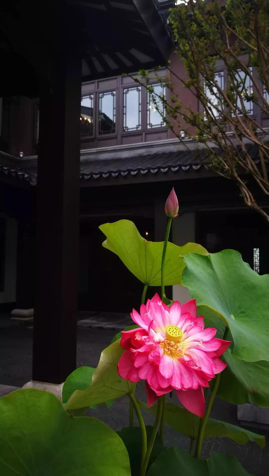 蓝光重庆芙蓉公馆,重庆蓝光芙蓉公馆附近规划图