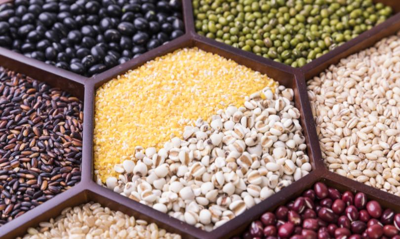 买的狗粮和自己做的狗粮哪个好,自制狗粮可以代替狗粮吗